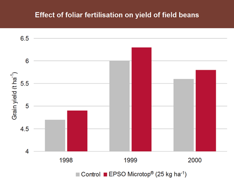 Effect of foliar feritilisation on beans